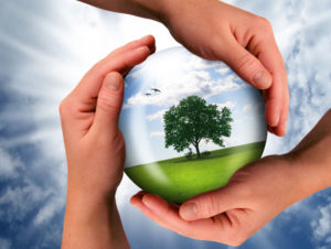 Arborescer Ambiental