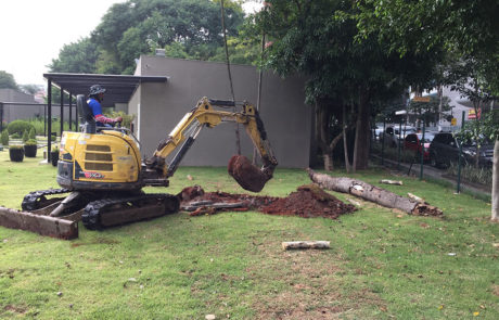 Destocamento de Raízes - Arborescer Ambiental