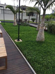 Projeto de Paisagismo e Manutenção de Jardins - 8 | Arborescer Ambiental