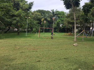 Manutenção de Praças Públicas | 1 - Arborescer Ambiental