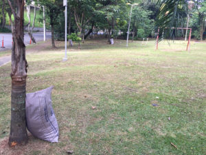 Manutenção de Praças Públicas | 3 - Arborescer Ambiental