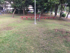 Manutenção de Praças Públicas | 5 - Arborescer Ambiental