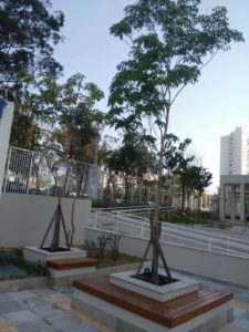 Projeto de Paisagismo e Manutenção de Jardins - 1 | Arborescer Ambiental
