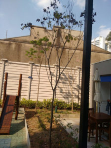 Projeto de Paisagismo e Manutenção de Jardins - 2 | Arborescer Ambiental