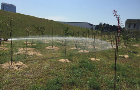 Projeto de Paisagismo e Manutenção de Jardins - 4 | Arborescer Ambiental