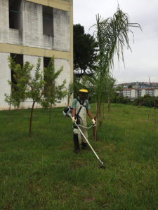 Roçada de Terrenos - 2 | Arborescer Ambiental