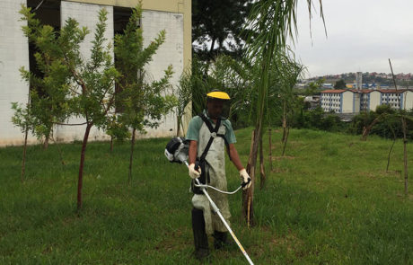 Roçada de Terrenos - 2 | Arborescer Ambiental