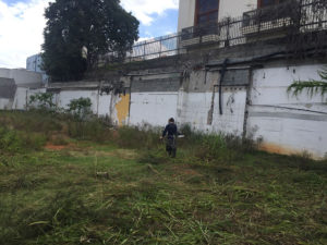 Roçada de Terrenos - 3 | Arborescer Ambiental
