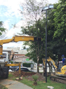 Transplante Arbóreo - 4 | Arborescer Ambiental